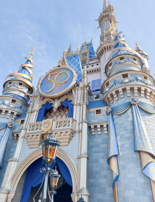 Read more about the article Disney World Tips and Tricks